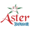 Áster Infantil